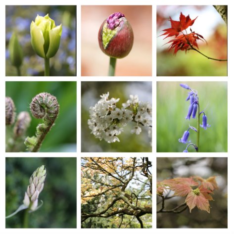 pizap.com14304911348081