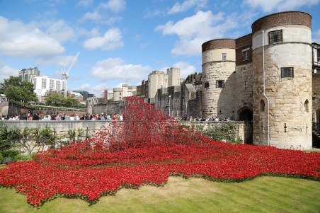Tower of London Poppies
