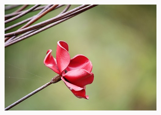 Paul Cummins and Tom Piper YSP