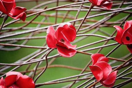 Paul Cummins and Tom Piper poppies