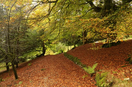 Autumn colours of the Lake District
