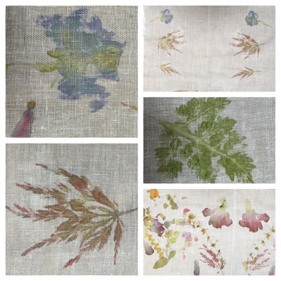 Processed with Moldiv