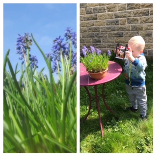 Processed with MOLDIV