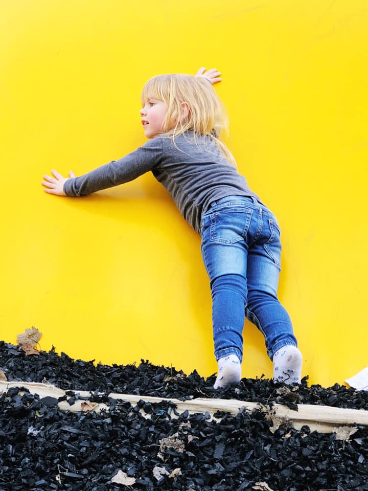 53611007_10157207123482384_6222870556308406272_n