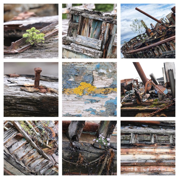 BeFunky-collage (91)