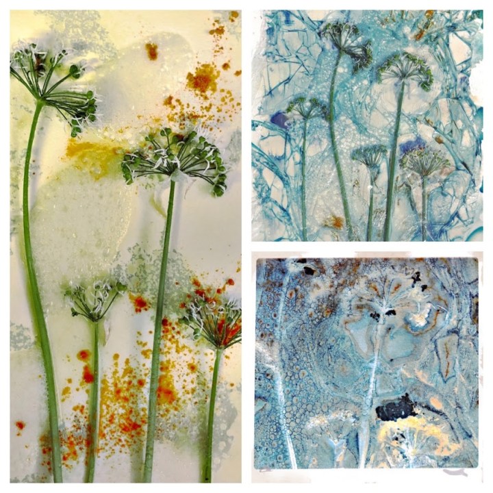 Processed with MOLDIV