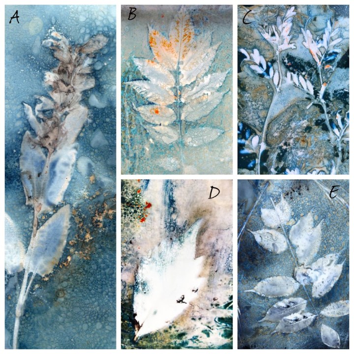 Processed with MOLDIV